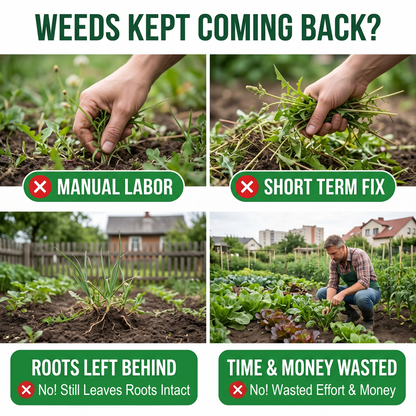 🔥 Advanced 2-in-1 Pro+ Herbicide | Upgraded Formula for 6-Hour Rapid Kill, Root Eradication & Destroys Glyphosate-Resistant Weeds KB